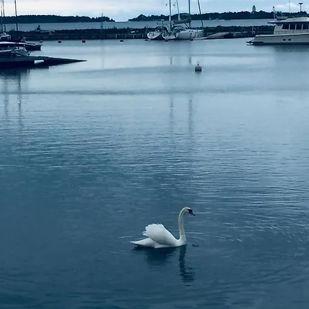 홈스테이 Famous Bertel Jung