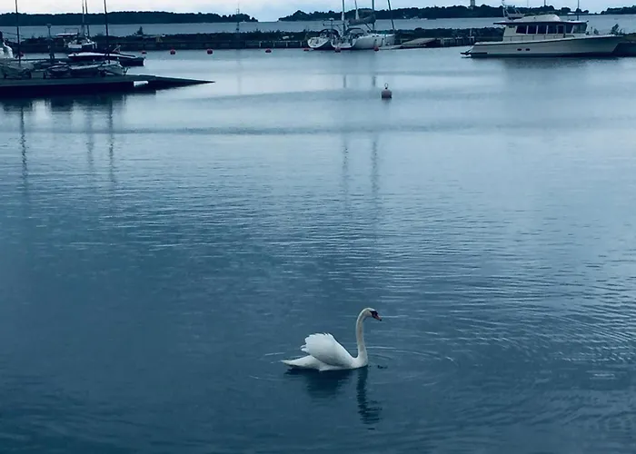 Ubytování v soukromí Famous Bertel Jung